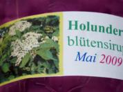 Holunderblütensirup 2009 - Rezept