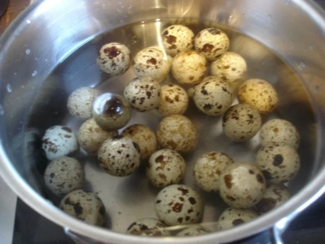 Rezept: Wachteleier als Soleier Bild Nr. 5 Wachteleier als Soleier - Rezept - Bild Nr. 5