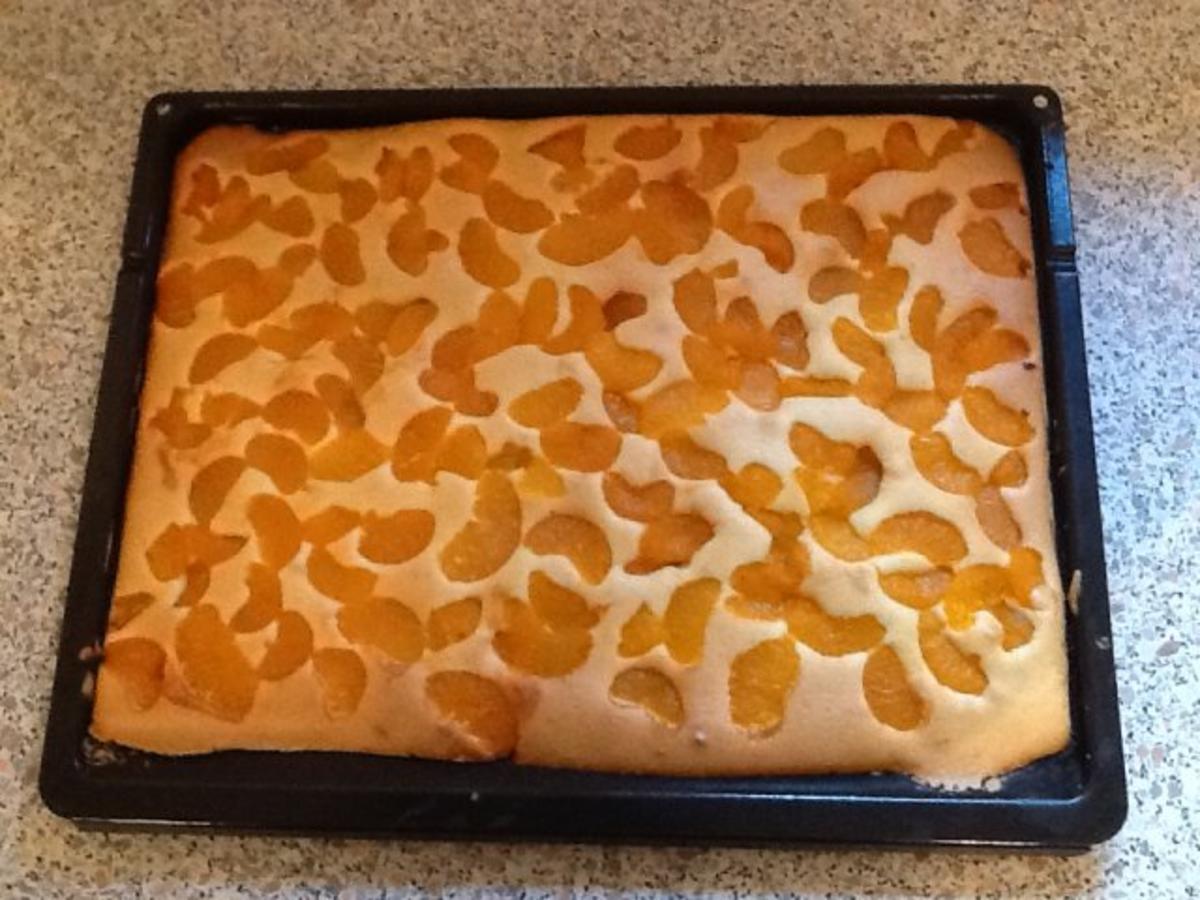 Mandarinenkuchen auf dem Backblech - Rezept - Bild Nr. 3