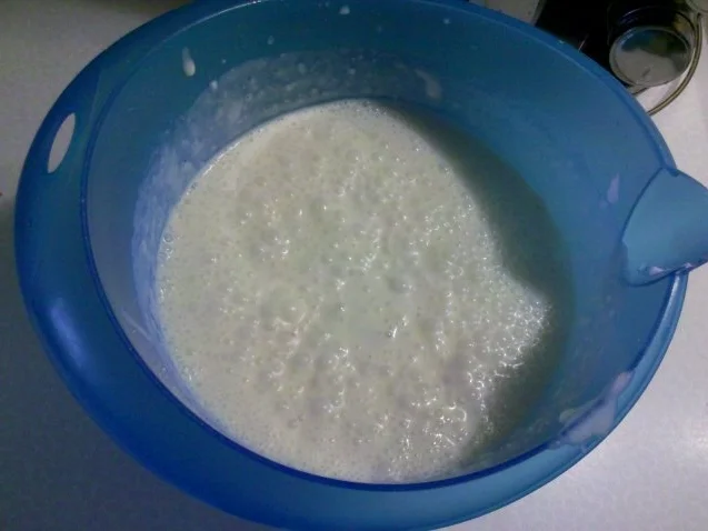 Eis: Kokos-Mango-Eis - Rezept - Bild Nr. 4