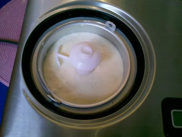 Eis: Kokos-Mango-Eis - Rezept - Bild Nr. 5