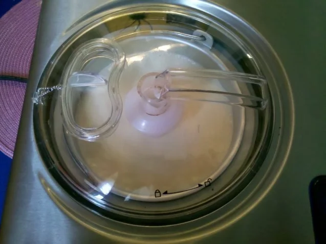 Eis: Kokos-Mango-Eis - Rezept - Bild Nr. 6