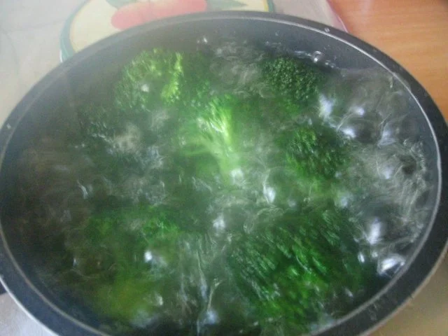 Steinbeißerfilet in Weisswein-Sauce mit Butterbroccoli und Bandnudeln - Rezept - Bild Nr. 10