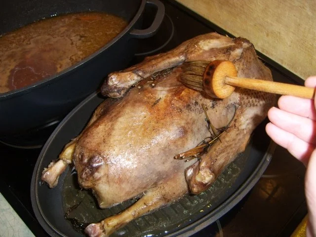 Rezept: Orientalische Frühlingsgans Bild Nr. 15 Orientalische Frühlingsgans - Rezept - Bild Nr. 15