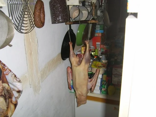 Rezept: Orientalische Frühlingsgans Bild Nr. 2 Orientalische Frühlingsgans - Rezept - Bild Nr. 2