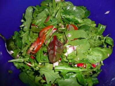 Baby Spinat - Rucola - Mangold rot - Salat - Rezept