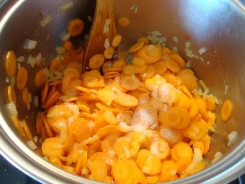 Rezept: feines Möhrensüppchen mit Ricotta Bild Nr. 8 feines Möhrensüppchen mit Ricotta - Rezept - Bild Nr. 8