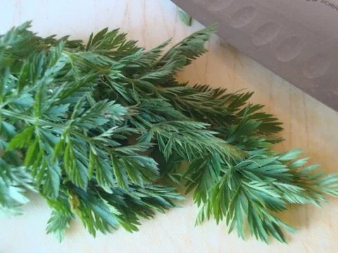 Rezept: feines Möhrensüppchen mit Ricotta Bild Nr. 10 feines Möhrensüppchen mit Ricotta - Rezept - Bild Nr. 10