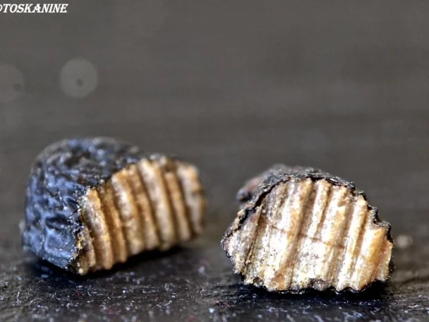 Tonka-Pudding mit Rhabarber-Kompott - Rezept - Bild Nr. 5