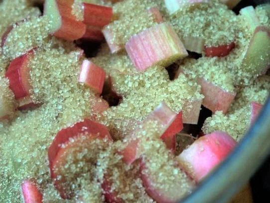 Tonka-Pudding mit Rhabarber-Kompott - Rezept - Bild Nr. 3