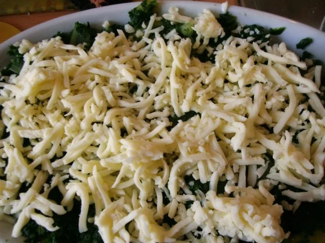 Rezept: Spinat - Auflauf Bild Nr. 6 Spinat - Auflauf - Rezept - Bild Nr. 6