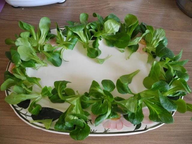 Vegan : Bunte Pasta - Pfanne - Rezept - Bild Nr. 14