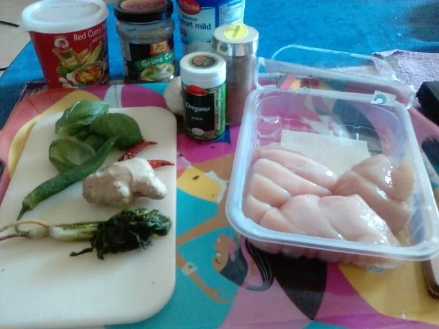 WARUM INDISCHE CHICKEN BRITISH TICKEN – CHICKEN TIKKA MASALA - Rezept - Bild Nr. 2