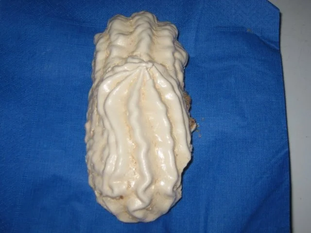 Rezept: Meringue Bild Nr. 2 Meringue - Rezept - Bild Nr. 2