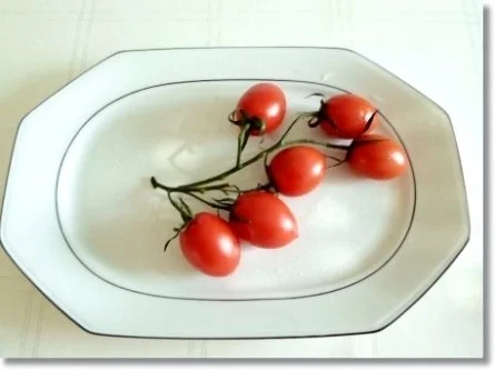 „Tulpen Strauß“  als kreative Vorspeise - Rezept - Bild Nr. 6