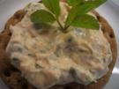 Frischkäse: "Primavera" - Rezept
