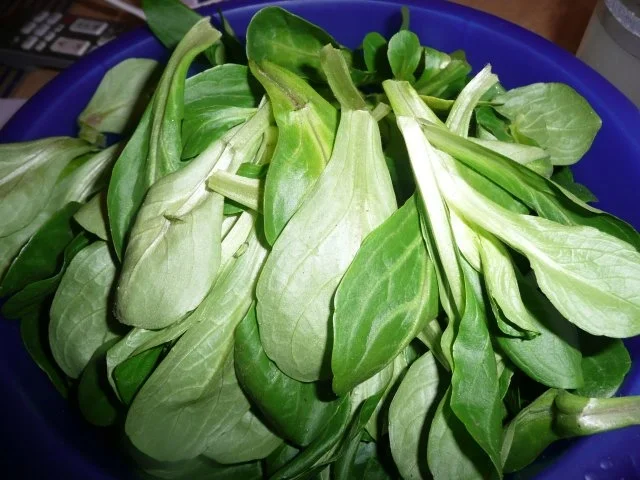 Variationen von Eierpfannkuchen zur Osterzeit. - Rezept - Bild Nr. 6