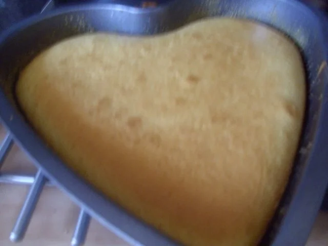 Rezept: Aprikosen-Stracciatella Torte Bild Nr. 2 Aprikosen-Stracciatella Torte - Rezept - Bild Nr. 2