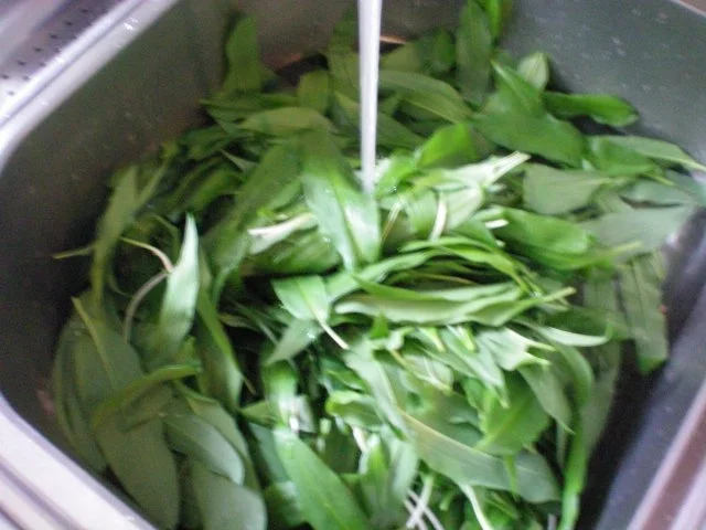 Suppe: Bärlauchsüppchen - Rezept - Bild Nr. 2