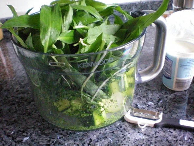 Suppe: Bärlauchsüppchen - Rezept - Bild Nr. 4