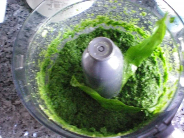 Suppe: Bärlauchsüppchen - Rezept - Bild Nr. 5