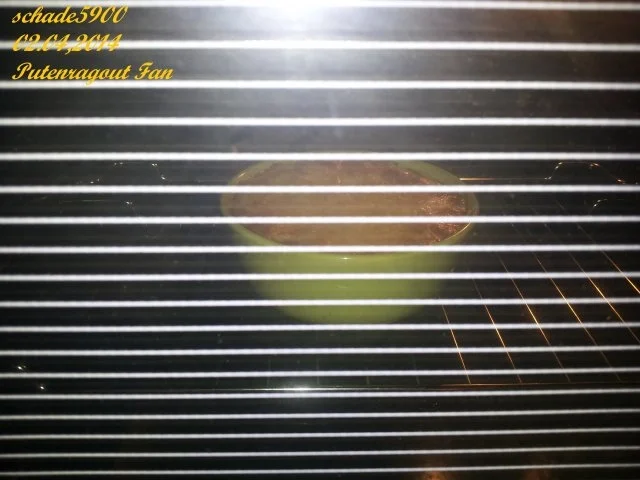 Rezept: Wild und Geflügel: Putenragout fin Bild Nr. 6 Wild und Geflügel: Putenragout fin - Rezept - Bild Nr. 6