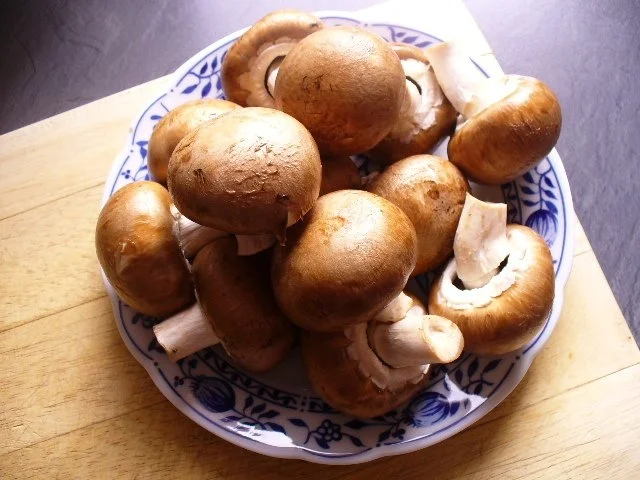 Rezept: Hähnchenbruströllchen mit Champignons auf Eisbergsalat Bild Nr. 9 Hähnchenbruströllchen mit Champignons auf Eisbergsalat - Rezept - Bild Nr. 9