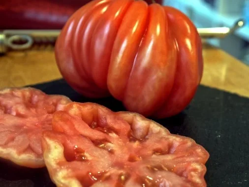 Gefüllte Zucchini mit Vanille-Tomaten - Rezept - Bild Nr. 9