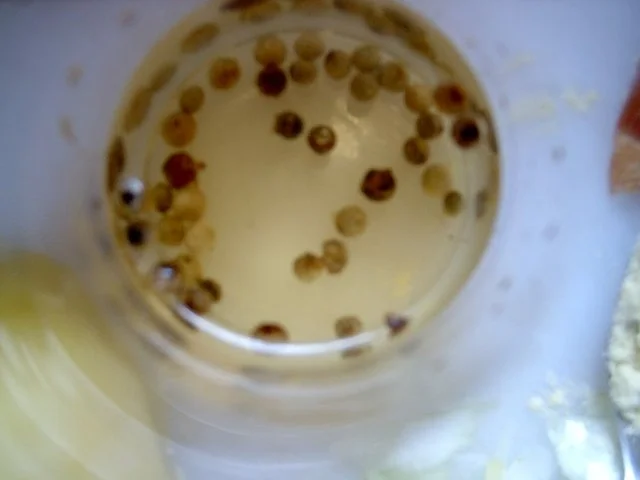 Rezept: Kartoffelfrikadellen Bild Nr. 3 Kartoffelfrikadellen - Rezept - Bild Nr. 3