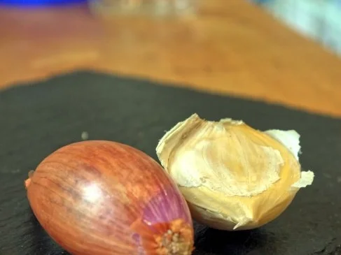 Rezept: Spaghetti mit Kräuterseitlings-Tomaten-Sugo Bild Nr. 4 Spaghetti mit Kräuterseitlings-Tomaten-Sugo - Rezept - Bild Nr. 4