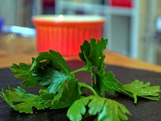 Rezept: Spaghetti mit Kräuterseitlings-Tomaten-Sugo Bild Nr. 6 Spaghetti mit Kräuterseitlings-Tomaten-Sugo - Rezept - Bild Nr. 6
