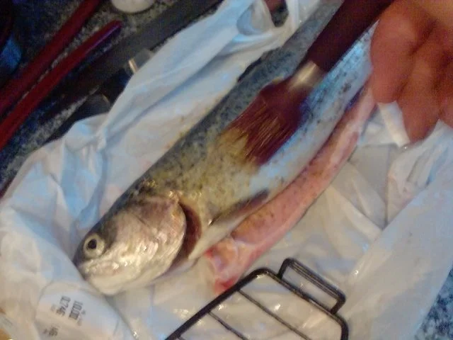 ZWEITBESTE LACHSFORELLE DES ALLGÄUS - FÜLL - GRILL-FORELLE - Rezept - Bild Nr. 4