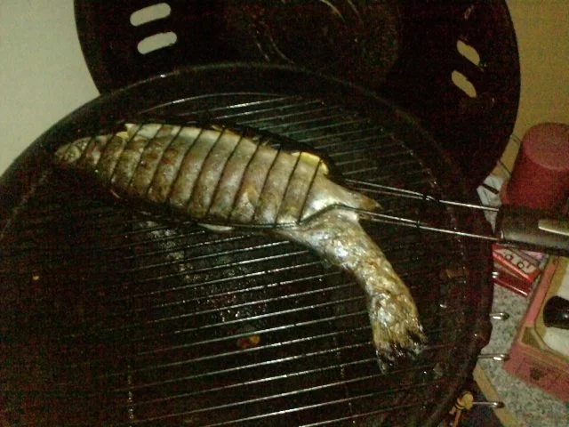 ZWEITBESTE LACHSFORELLE DES ALLGÄUS - FÜLL - GRILL-FORELLE - Rezept - Bild Nr. 7