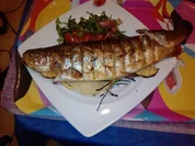 ZWEITBESTE LACHSFORELLE DES ALLGÄUS - FÜLL - GRILL-FORELLE - Rezept