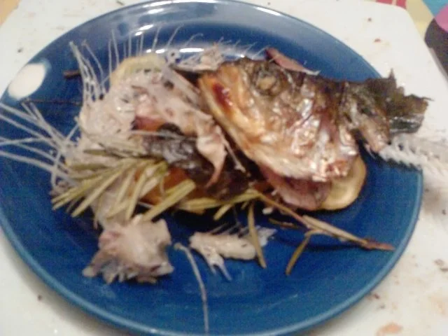 ZWEITBESTE LACHSFORELLE DES ALLGÄUS - FÜLL - GRILL-FORELLE - Rezept - Bild Nr. 10