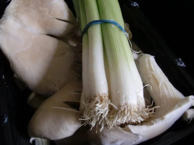 Rezept: überbackene Austernpilze mit Lauchzwiebeln und Tomate Bild Nr. 2 überbackene Austernpilze mit Lauchzwiebeln und Tomate - Rezept - Bild Nr. 2