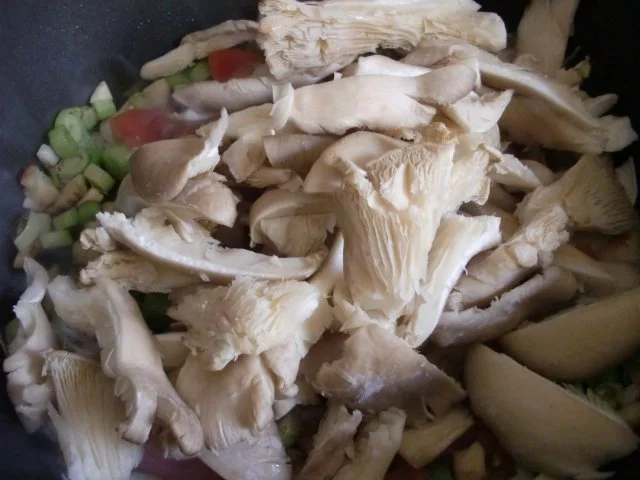 Rezept: überbackene Austernpilze mit Lauchzwiebeln und Tomate Bild Nr. 6 überbackene Austernpilze mit Lauchzwiebeln und Tomate - Rezept - Bild Nr. 6