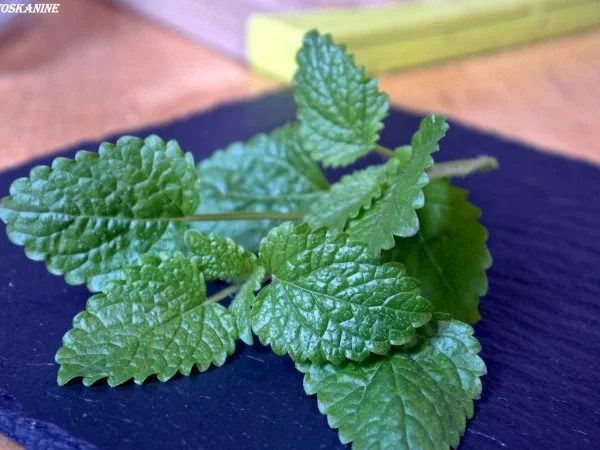 Hähnchen-Schnitzel Asia-Style mit Kräuter-Dip - Rezept - Bild Nr. 2