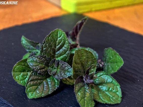 Hähnchen-Schnitzel Asia-Style mit Kräuter-Dip - Rezept - Bild Nr. 3