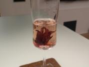 Aperitif: Champagner mit Hibiskus-Blüten - Rezept