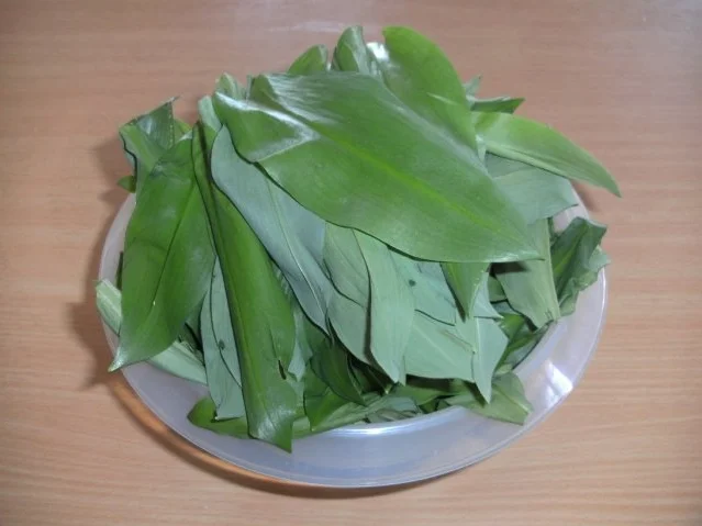 Rezept: Konservieren: Bärlauch-Paste Bild Nr. 2 Konservieren: Bärlauch-Paste - Rezept - Bild Nr. 2