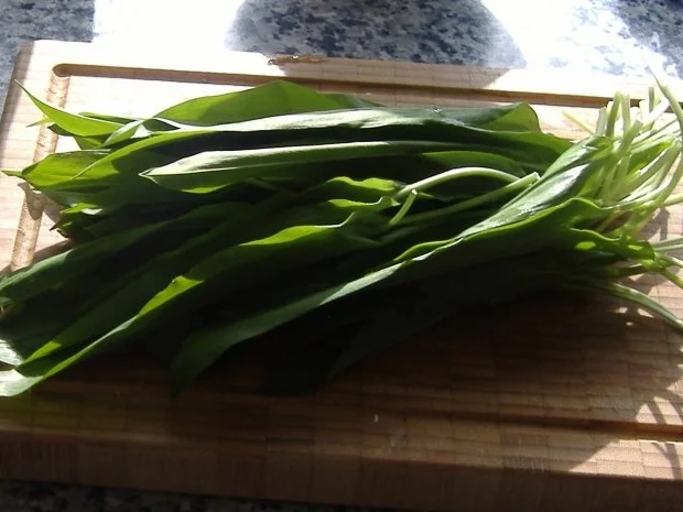 Rezept: Grober Kartoffelstampf mit Zucchini,Bärlauch und getrockneten Tomaten Bild Nr. 3 Grober Kartoffelstampf mit Zucchini,Bärlauch und getrockneten Tomaten - Rezept - Bild Nr. 3