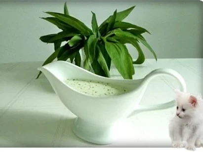 Bärlauchsauce auf Mayonnaise Basis - Rezept