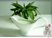 Bärlauchsauce auf Mayonnaise Basis - Rezept