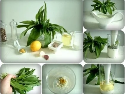 Bärlauchsauce auf Mayonnaise Basis - Rezept - Bild Nr. 2