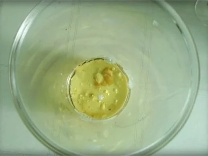 Bärlauchsauce auf Mayonnaise Basis - Rezept - Bild Nr. 6