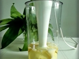 Bärlauchsauce auf Mayonnaise Basis - Rezept - Bild Nr. 9