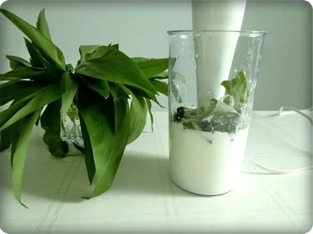 Bärlauchsauce auf Mayonnaise Basis - Rezept - Bild Nr. 10