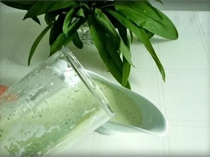 Bärlauchsauce auf Mayonnaise Basis - Rezept - Bild Nr. 11