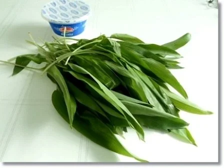 Rezept: Grüner Frühlings Smoothie Bild Nr. 3 Grüner Frühlings Smoothie - Rezept - Bild Nr. 3